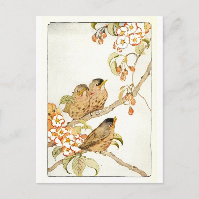 Carte postale Oiseaux vintages (Devant)