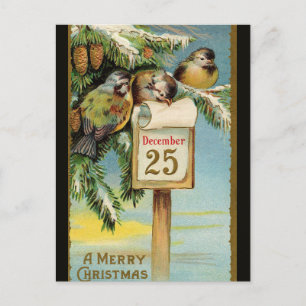 Carte Postale Oiseaux vintages le 25 décembre