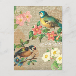 Carte Postale Oiseaux Vintages rustiques et fleurs Shabby Elégan