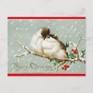 Carte Postale Oiseaux vintages sur une branche dans la neige Noë