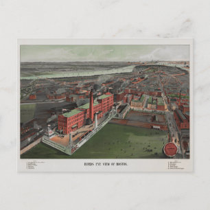 Carte Postale Oiseaux Vue oeil de Boston