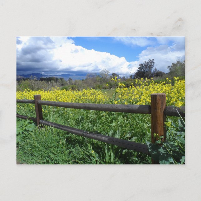 Carte Postale Ojai Meadows (Devant)