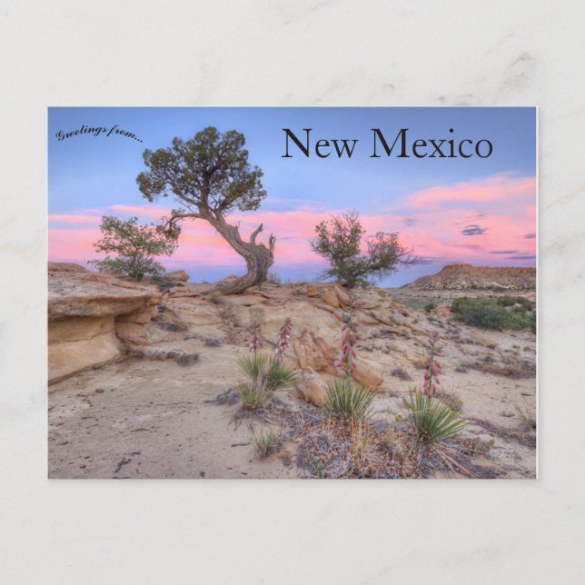 Carte Postale Ojito Wilderness Nouveau Mexique (Devant)