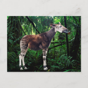 Carte Postale Okapi