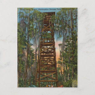Carte Postale Okelenokee Swamp Park, Waycross, Géorgie
