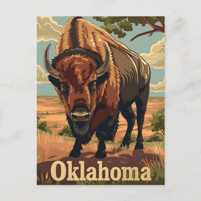 Carte Postale Oklahoma Bison Vintage (Devant)