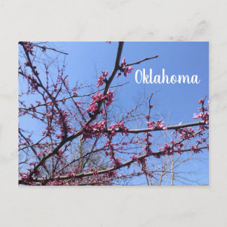 Carte postale Oklahoma Redbud
