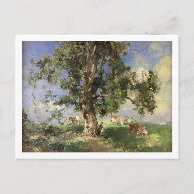 Carte Postale Old Ash Tree (Devant)