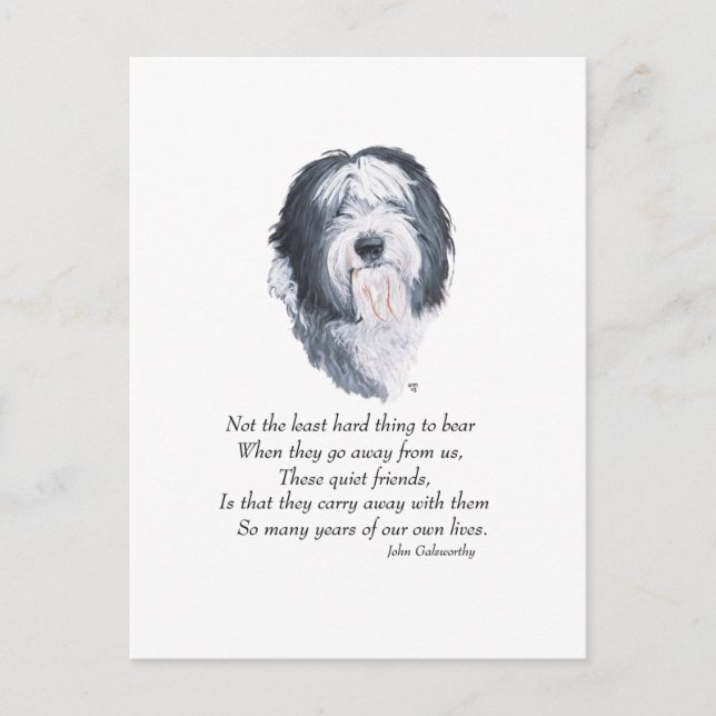 Carte Postale Old English Sheepdog Rainbow Bridge (Devant)