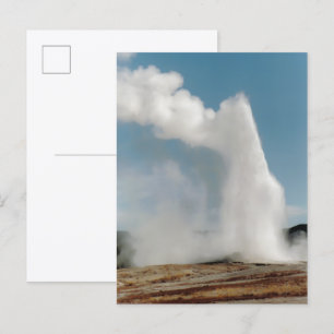 Carte Postale Old Faithful 2009
