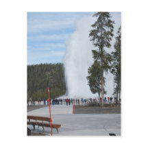 Old Faithful Geyser dans le parc Yellowstone