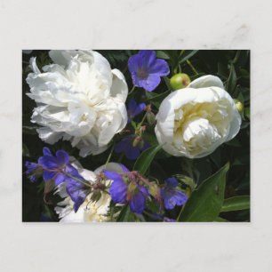 Carte Postale Old Masters Garden Postcard