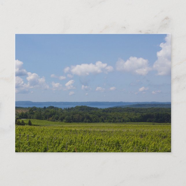 Carte Postale Old Mission Peninsula, Michigan (Devant)