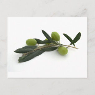 Carte Postale Olive