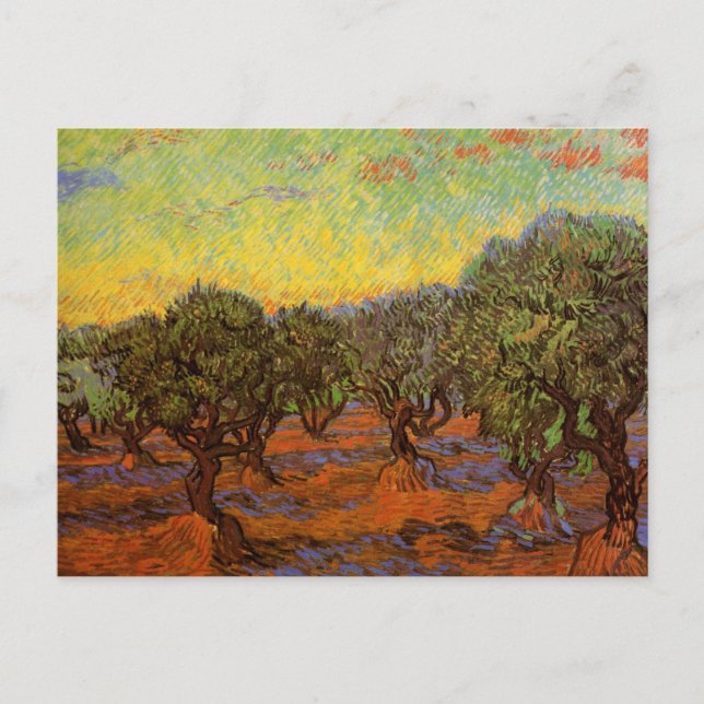 Carte Postale Olive Grove, Ciel orange par Vincent van Gogh (Devant)