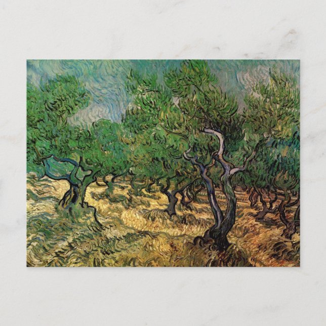 Carte Postale Olive Grove par Vincent van Gogh (Devant)
