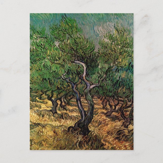 Carte Postale Olive Grove par Vincent van Gogh (Devant)