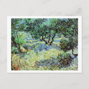 Carte Postale Olive Grove, Vincent van Gogh Art