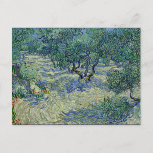 Carte Postale Olive Orchard par van Gogh