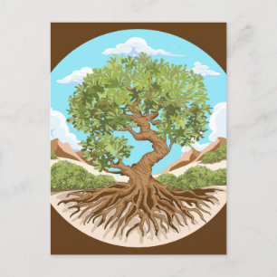 Carte Postale Olive tree Symbole de paix dans la Palestine libre