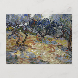 Carte Postale Olive Trees par Vincent Van Gogh