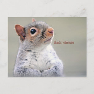 Carte Postale Oliver Twist Squirrel
