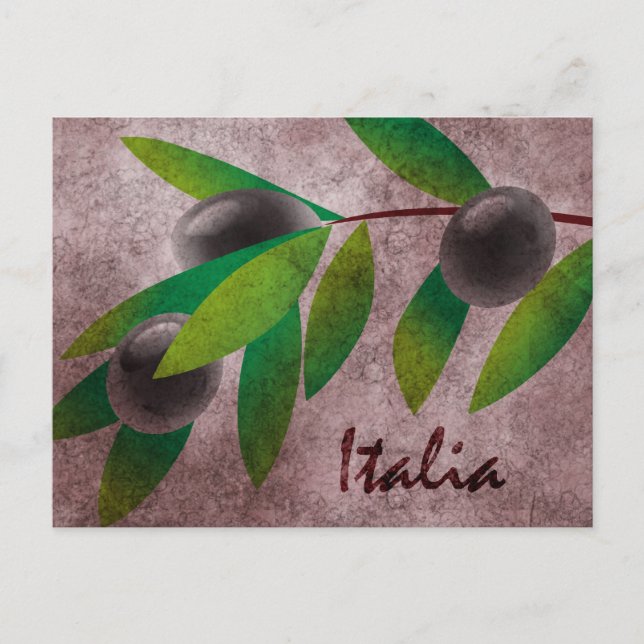 Carte Postale Olives italiennes (Devant)