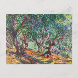 Carte Postale Oliviers à Bordighera, 1884 Claude Monet