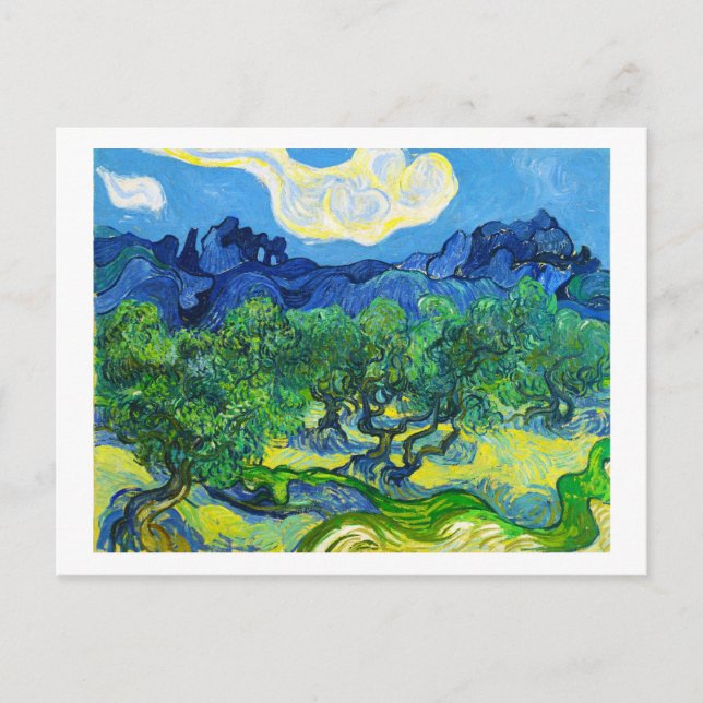 Carte Postale Oliviers aux Alpilles en Arrière - plan (Devant)