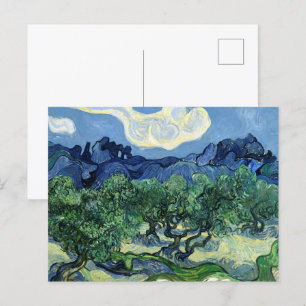 Carte Postale Oliviers aux Alpilles en Arrière - plan