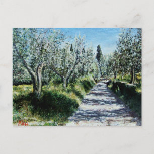 CARTE POSTALE OLIVIERS EN RIMAGGIO