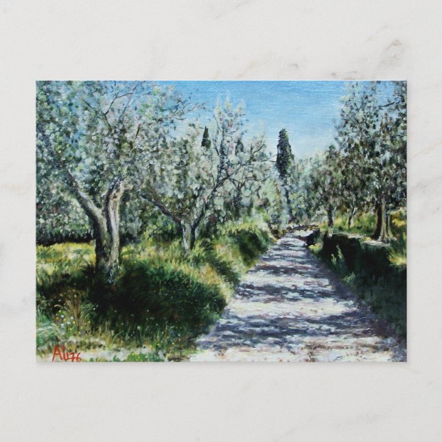 CARTE POSTALE OLIVIERS EN RIMAGGIO (Devant)