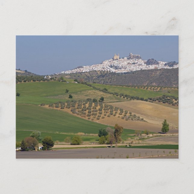 Carte Postale Olvera, Andalousie, Espagne (Devant)