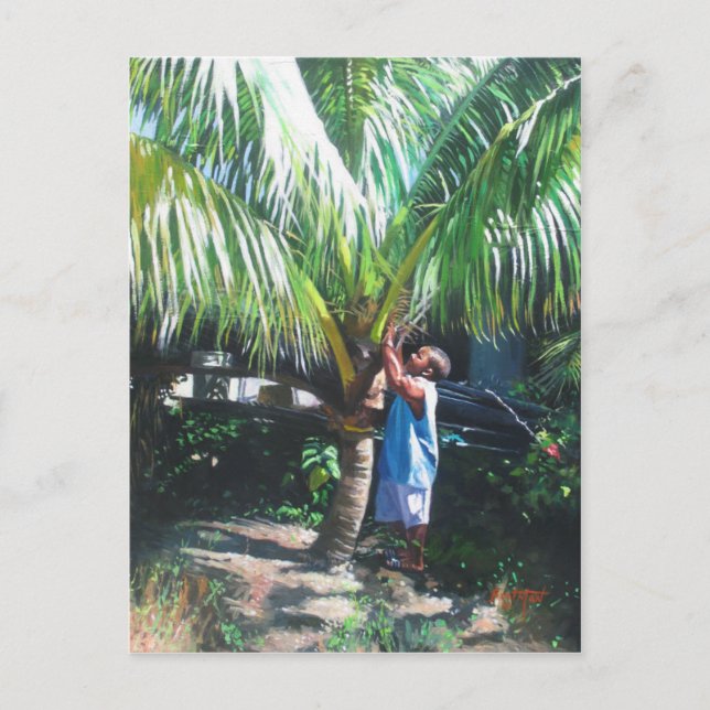 Carte Postale Ombre 2014 de noix de coco (Devant)