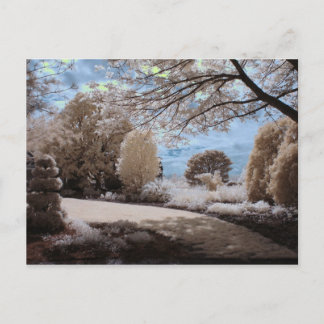 Carte Postale Ombre Du Jardin