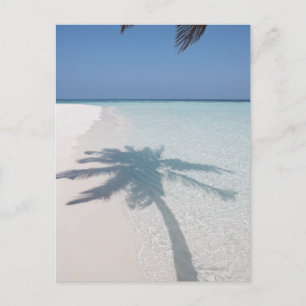 Carte Postale Ombre d'un palmier sur une plage d'île déserte