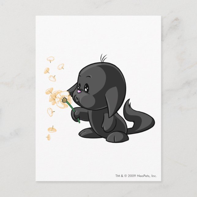 Carte Postale Ombre Kacheek (Devant)