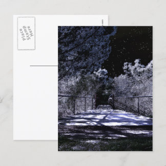 Carte Postale Ombres de lune