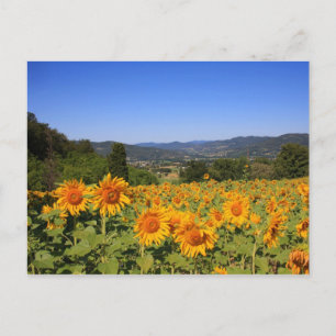 Carte postale Ombrie Campagne