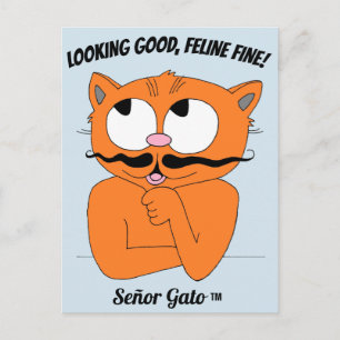 Carte Postale "ON A L'AIR BIEN, FELINE FINE !" Chat mignon Moust