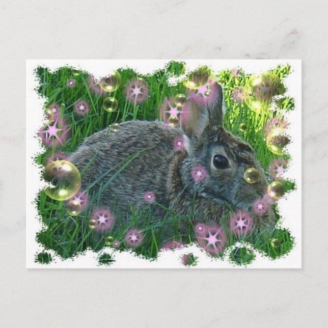 Carte Postale On a un lapin de fête (Devant)