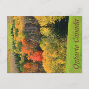 Carte postale Ontario Canada