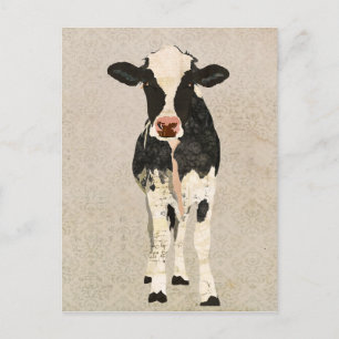 Carte postale Onyx et vaches d'ivoire