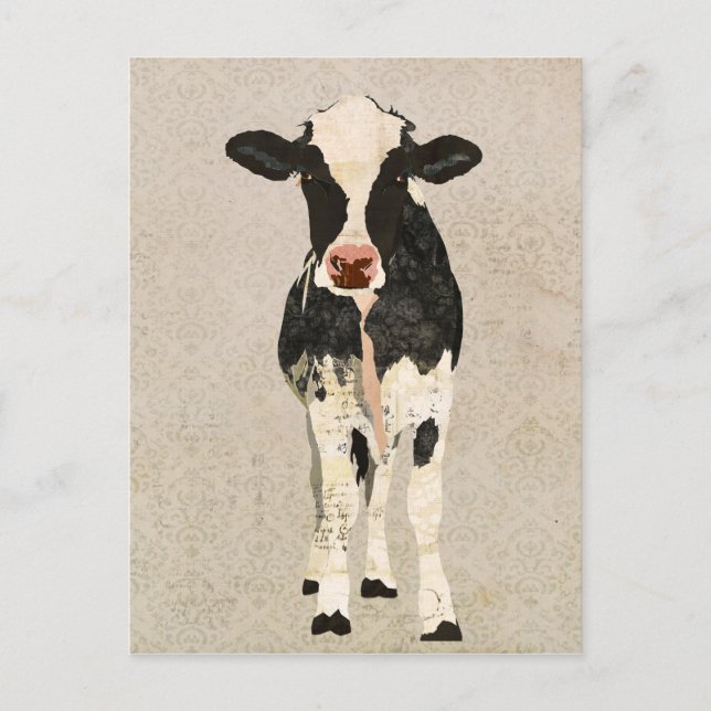 Carte postale Onyx et vaches d'ivoire (Devant)