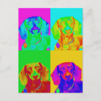 Op Art Teckel
