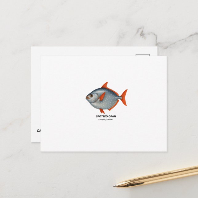 Carte Postale Opah tacheté - Animaux marins de Californie (Devant/Arrière en situation)