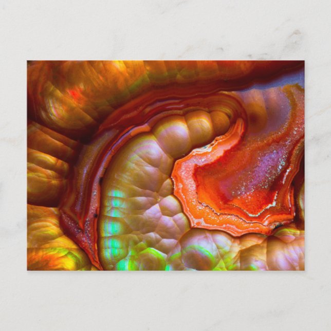 Carte Postale Opale de feu rouge iridescente (Devant)