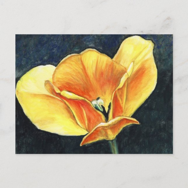 Carte postale Open Tulip Art Flower Art Reproducti (Devant)