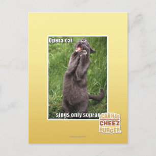 Carte Postale Opera Cat