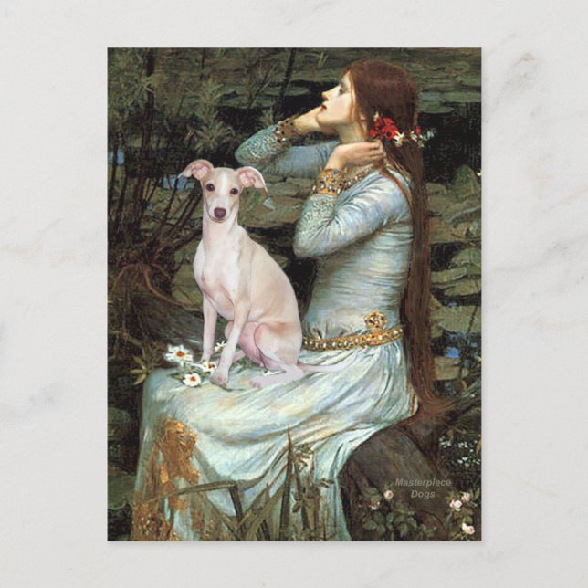 Carte Postale Ophélie - Greyhound italien 5 (Devant)